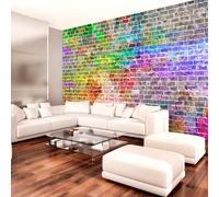 Fotomurale - Rainbow Wall 400X280 cm Carta da Parato Erroi
