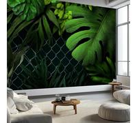 Fotomurale Soggiorno 500 x 280 cm Carta da parati Fogli Stile Naturalistico, Fotomurali in Tnt Murale Decorazione da Muro Tropico Foglie Di Monstera Poster Design Cameretta Carta per pareti