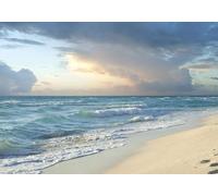 Fotomurale Spiaggia Dell'oceano Carta da Parati Cielo Blu e Mare 3D Fotomurali In Tessuto Non Tessuto 350x256 Decorazione Parete Camere da Letto Soggiorno Pareti Murale Poster Giganti a-10581