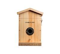 FOTOTRAPPOLA per birdwatching CAMOUFLAGE EZ Nesteye casetta uccelli con APP, pannello solare, riconoscimento intelligente tramite AI, Video Full-HD, Tempo di attivazione: 0,5 secondi, Angolo Visuale: 