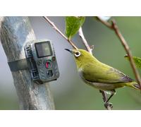 Technaxx Germany Nature Wild Camera Alimentata a batteria Full HD Cam Indoor Outdoor Night Vision Sensore di movimento monitorare la fauna selvatica per la sorveglianza TX-117