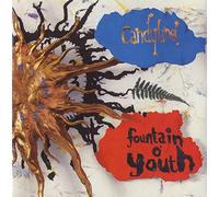FOUNTAIN O YOUTH 7" (VINYL 45) UK NON FICTION 1990