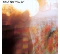 Four Tet Pause (Vinyl LP)