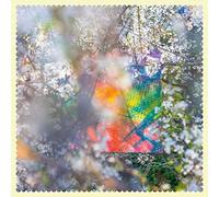 Four Tet Sixteen Oceans (Vinyl LP) 12" Album