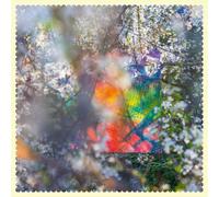 Fourtet Sixteen Oceans (CD)