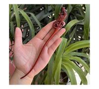 FOVAOK Forcina per capelli intagliata a mano in stile retrò cinese, in legno di pesca, forcina per capelli da donna, accessori per capelli (24)