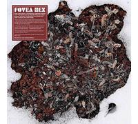 Fovea Hex - Salt Garden (Landscaped) (Vinyl Clear)