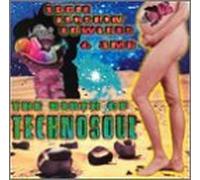 Fowlkes, Eddie Flashin - Birth of Techno Soul