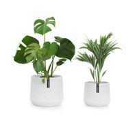 Fox & Fern Heusden - Fioriera, set da 2 pz.