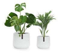 Fox & Fern Vaso per piante, grandi vasi per interni ed esterni, resistente ai raggi UV e al gelo, con tappo di drenaggio, in polystone, grandi vasi per piante e fiori, vaso per piante da interno, set