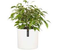 Fox&Fern Vaso da fiori M - Fioriera grande 24 cm con drenaggio dell'acqua per piante da interni ed esterni - adatto per fioriera Fox&Fern M (diametro 25 cm) - fatto a mano, colore: bianco opaco