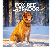 Fox Red Labrador 2026 Calendar: Warm Tones, Big Hearts, and Loyal Companions