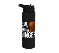 Fox Red Labrador Owner Stainless Steel Insulated Water Bottle