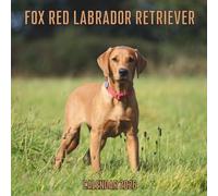Fox Red Labrador Retriever Calendar 2026: 14-Month Organizer from Nov 2025 to Dec 2026 | Perfect for Home, Office, School & Family Scheduling, For Men , Women , Girls , Boys