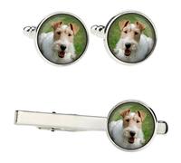 Fox Terrier a pelo corto set di mollette in una scatola con immagine Art-Dog