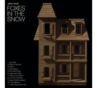 foxes in the snow-Import USA