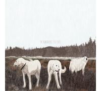 Foxing The Albatross: Ten Years (Vinyl LP)