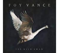 Foy Vance - Wild Swan