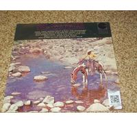 FOY WILLING - FOY WILLING-cool, cool water CUSTOM (LP vinyl record)