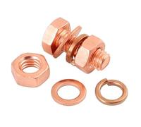 Foyoram Vite esagonale in rame, M16 x 100 mm, rondella piatta, anelli a molla, bulloni combinati, per Elektriska Lågspänningsininstallationer (M16 x 100 mm)