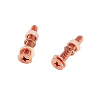 Foyoram Viti a testa svasata M3 x 4 mm in rame puro con fessura a croce, disco a molla, 5 set di dadi T2 in rame con viti Phillips Washers Hex Nuts 5 set (M3 x 4 mm)