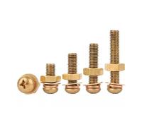 Foyoram Viti combinate M6, 10 set di viti a testa semicircolare combinate con chiusura a croce e disco piatto e anelli a molla e dadi, viti a testa bombata in ottone (M6 x 45 mm)