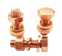 Foyoram Viti esagonali combinate in rame, M8 x 60 mm, con disco piatto con anelli a molla con dadi, 2 set