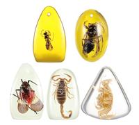 FOYTOKI 5 Pezzi Pendenti in Ambra Naturale Insetti Incapsulati in Resina per Collane e Braccialetti Diy, Superficie Liscia e Fori per Appendere, per Amanti di Gioielli e Stili multipli