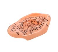 FOYTOKI Di Agopressione Auricolare Ergonomico Per Apprendimento Acupunturale Forniture Da Laboratorio Per Massaggi e Benessere Con Punti Di Riferimento Tradizionali Cinesi