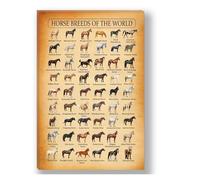 FQHIDMOMX Horse Lover Gift - World's Horse Breeds Knowledge Poster, Vintage Print Wall Decor for Study, Man Cave, Cabin, Equestrian Enthusiasts (Unframed,08x12inch(20x30cm))