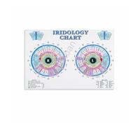 FQHIDMOMX Retro Holistic Health Chart: Iridology Reference - Canvas Print for Vintage Apothecary Style, Yoga Studio, Wellness Room(Unframed,16x24inch(40x60cm))