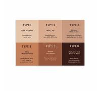 FQHIDMOMX Skin Type Classification Chart Poster Fitzpatrick Scale I-VI Educational Canvas Wall-Art Print for Dermatology Office Living Room Bedroom Decor(Framed,12x18inch(30x45cm))