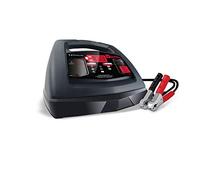 FR01235 Cargador de batería con arranque de motor, impulso y mantenedor - 100 amperios/30 amperios, 6 V/12 V - para tractores, coches y camiones