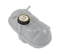 FR3Z8A080A Per Ford Per Mustang 2015-2022 3M5H8100AD Auto Liquido Raffreddamento Serbatoio Radiatore Espansione Serbatoio Del Liquido Refrigerante