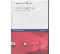 Fra le immagini. Fotografia, cinema, video