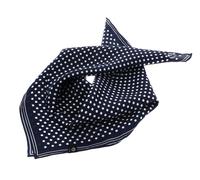 FRAAS Classic Square Made of Pure Silk