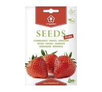 Fragole, Semi Biologici Minigarden, include tra 340 e 300 semi