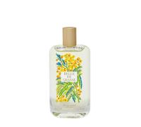 FRAGONARD BELLE DE GRASSE EAU DE TOILETTE 100 ML SPRAY