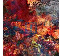 Frail Body Artificial Bouquet (CD) Album