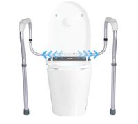 Frame di sicurezza del bagno, ringhiera per il toilette per anziani