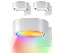 Frame Lights for Wall - Smart Control Wireless Battery Operated Picture Lights with Timer, RGB Art Lighting | Adjustable LED Wall Lamp for Living Room Bedroom Dining Home Decor