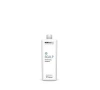 Framesi Morphosis Scalp Cleansing Shampoo 1000ml NEW shampoo pulizia profonda