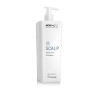 Framesi Morphosis Scalp Destress Shampoo, per una routine capelli curata