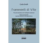 Frammenti di vite. Piccole sfumature di molteplici esistenze. Storie romanzate ispirate da fatti di vita quotidiana