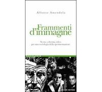 Frammenti d'immagine. Scene, schermi, video per una sociologia della sperimentazione