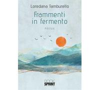 Frammenti in fermento