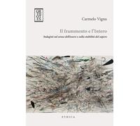 FRAMMENTO E L'INTERO. INDAGINI SUL SENSO DELL'ESSERE E SULLA STABILITÀ DEL SAPER