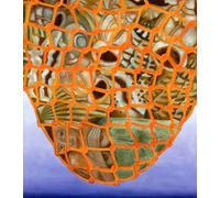 Francesco Clemente. Frontiera di immagini - [Prearo]