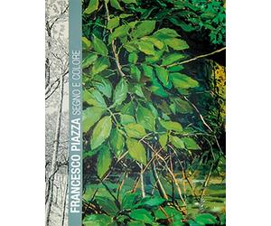 Francesco Piazza. Segno e Colore - [Eurocrom 4]