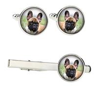 Francese Bulldog Set Con Si Aggrappano IN Scatola Con Bild. Art-Dog